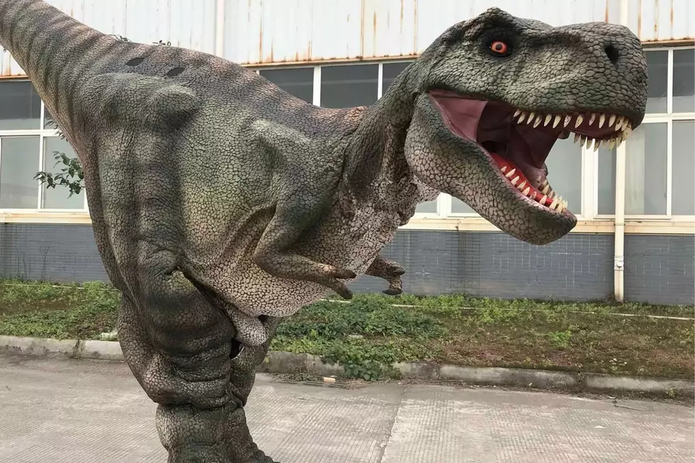 You Can Now Party With Dinosaurs Thanks to New Company in Plymouth