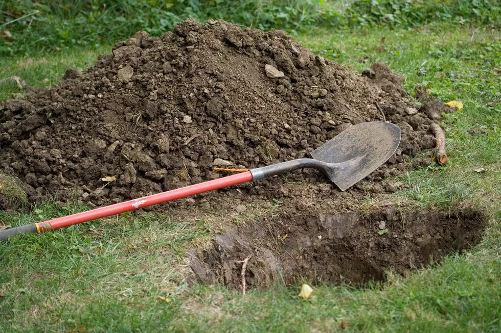 can you bury a dead dog in your yard