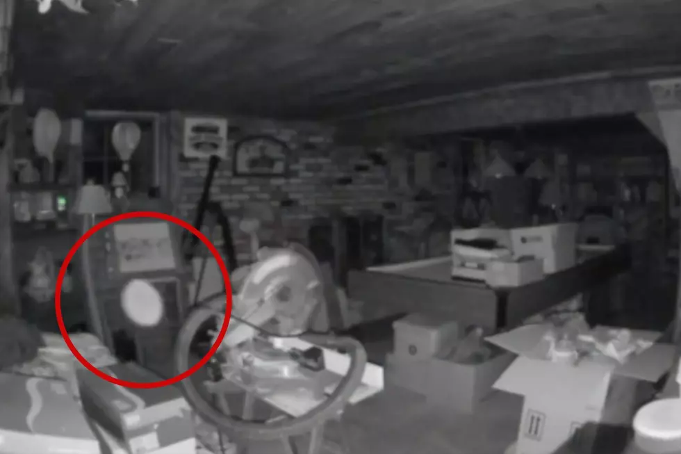 Ghost or Not? Unexpected Visitor Appears on Acushnet Home Surveillance