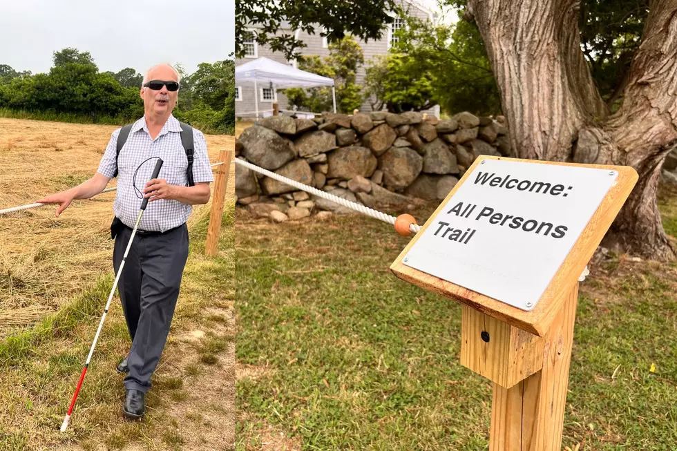 Dartmouth’s New All-Persons Trail Is a Game-Changing Hike for All Abilities