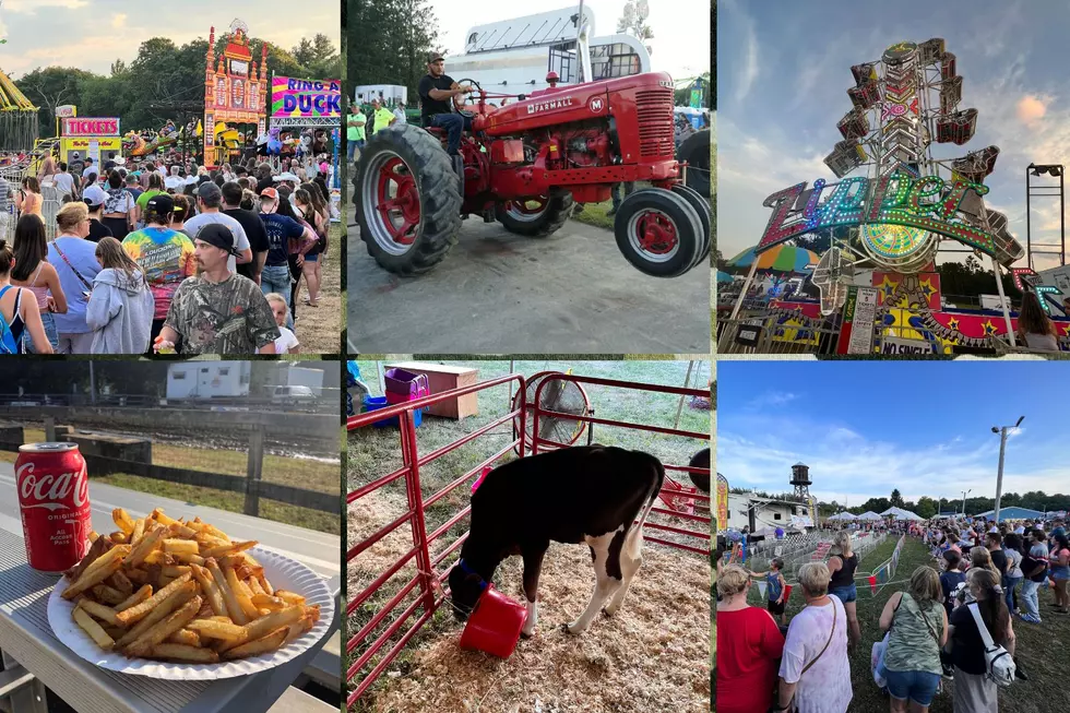 Your Westport Fair Survival Guide