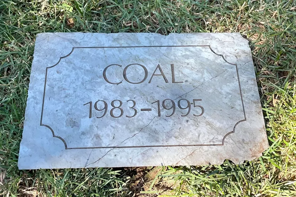 Tiverton Homeowner Finds Mysterious Memorial Stone in Her Backyard