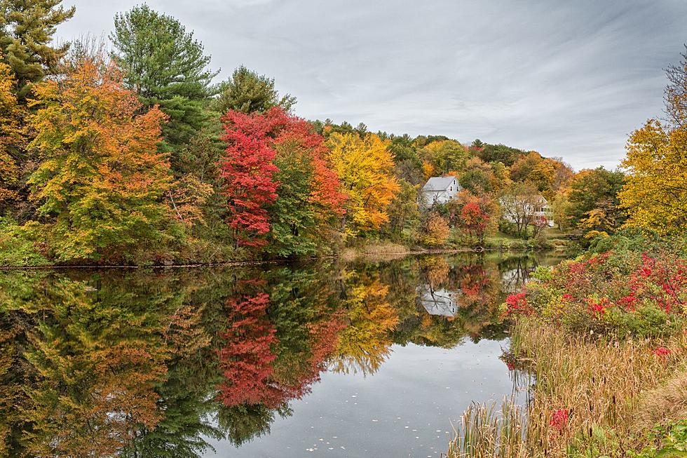 Fall in Massachusetts May Look a Little Dull This Year Due to Severe Drought