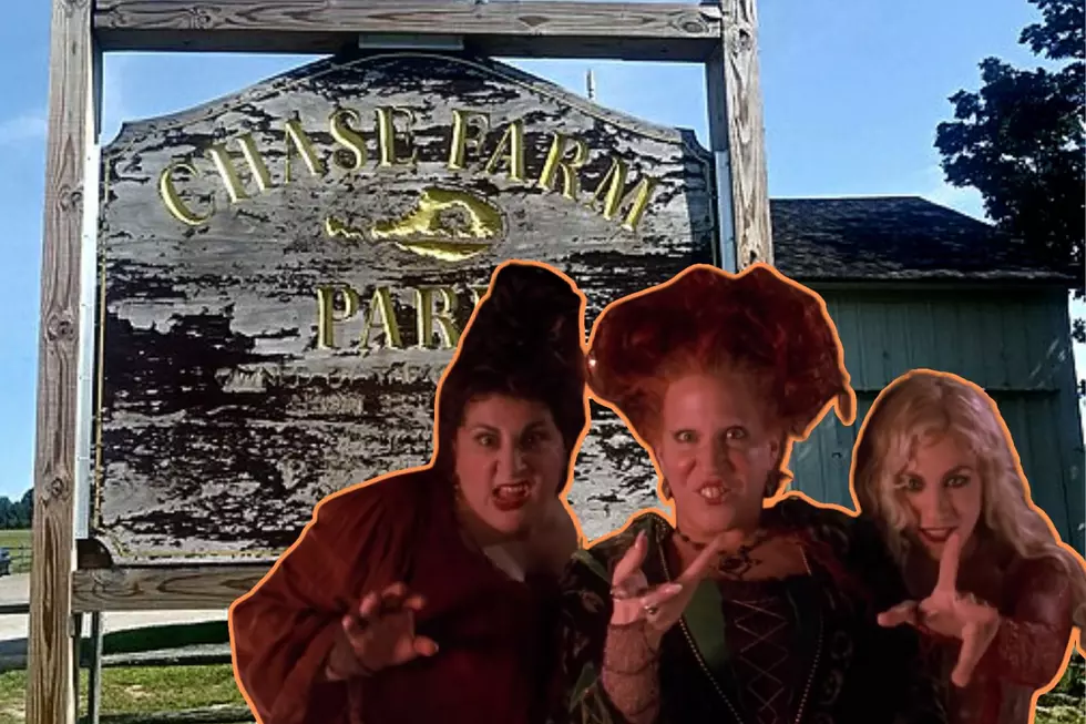 Hocus Pocus Inspired Festival Coming to Chase Farm This Fall