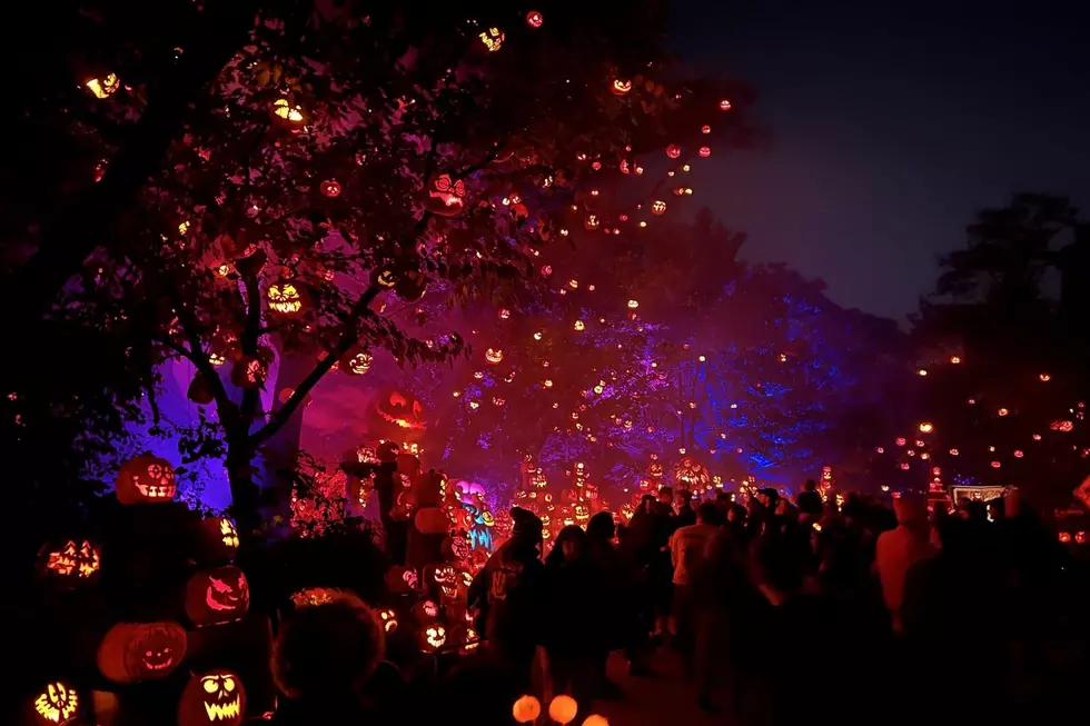 Crowd Anxiety Surfaces During Trip to Jack-O-Lantern Spectacular