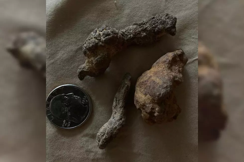 A Falmouth Woman Is Giving Away Free ‘Dino Droppings’ on Facebook
