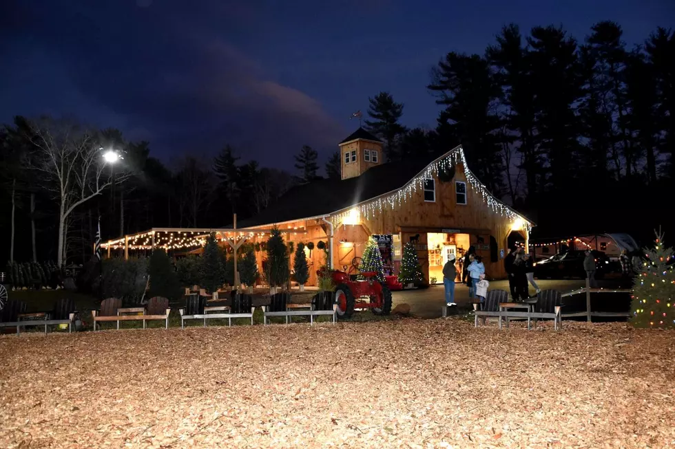 Free Winter Wonderland in Taunton