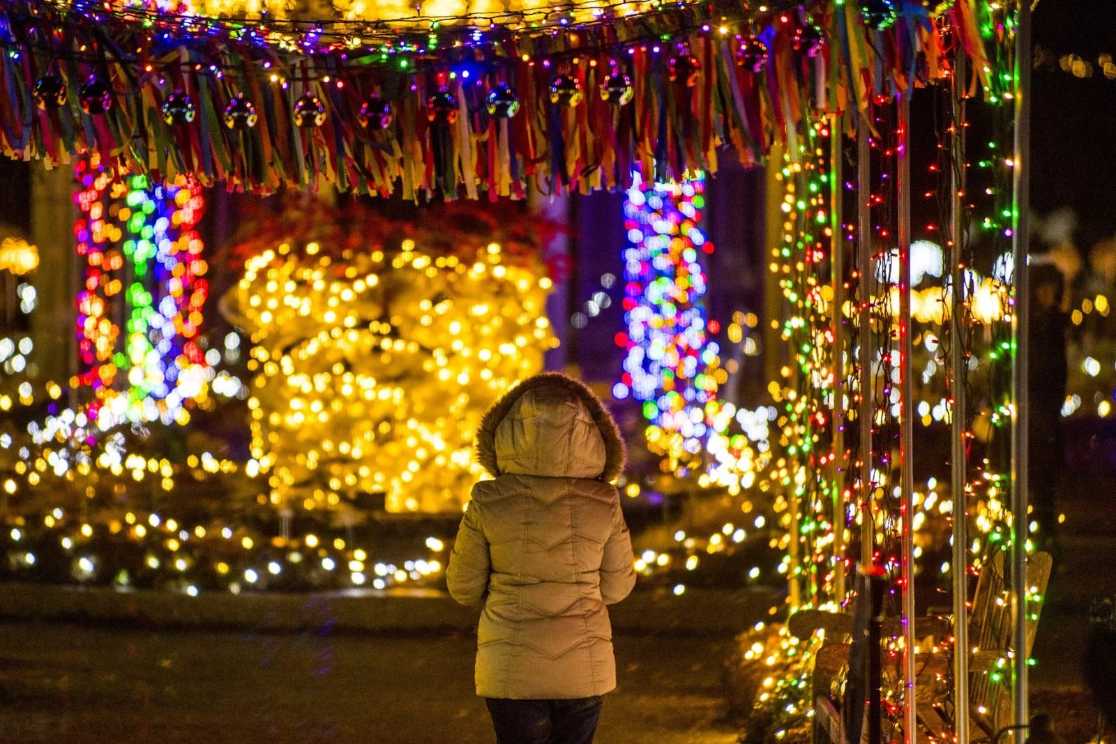 Night Lights' Brings the Magic of the Holidays to Life in Boston