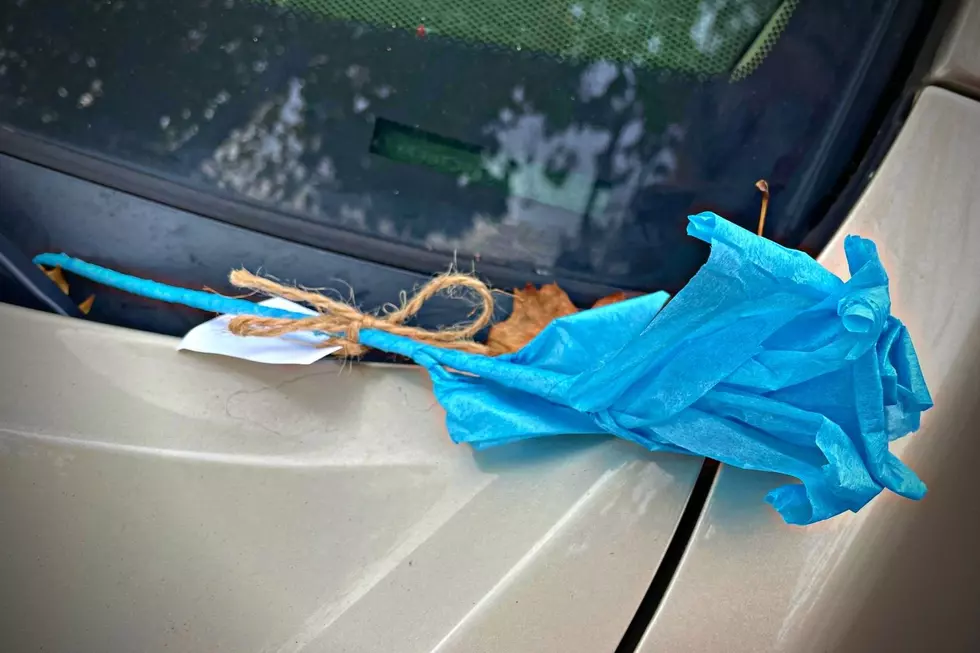 Mystery Paper Flower Appears on New Bedford Car