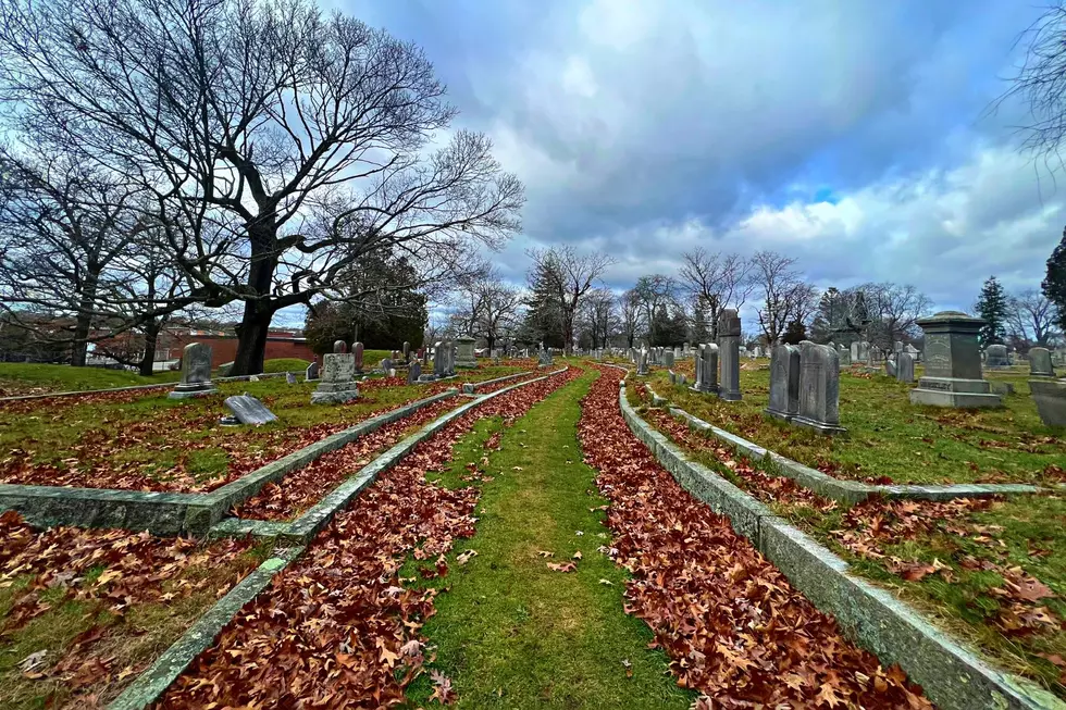 Path at Historic New Bedford Cemetery Seems to Defy Nature