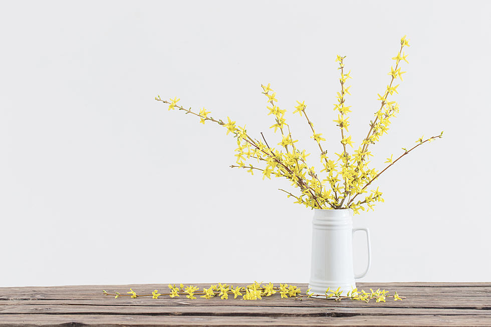 Simple Trick To Blooming Fresh Flowers In Your Home Now