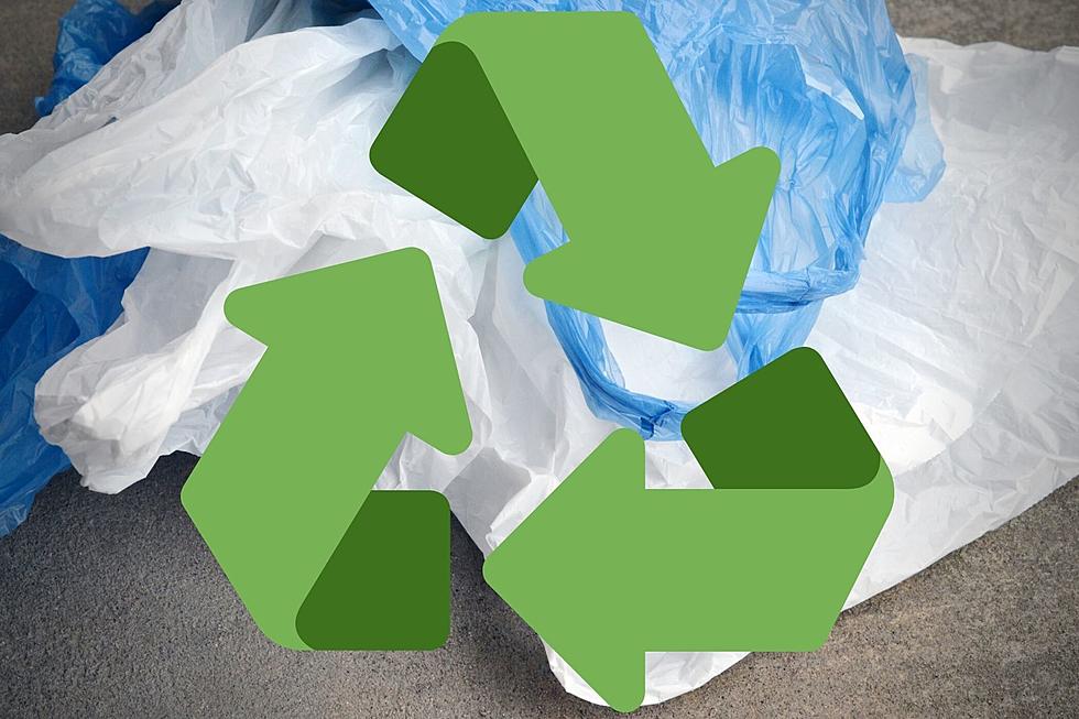 Here Are 20 SouthCoast Places to Properly Recycle Your Plastic Grocery Bag Hoard