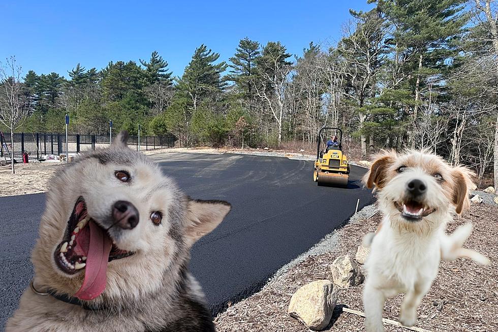 Wareham Dog Park Opening Date Announced