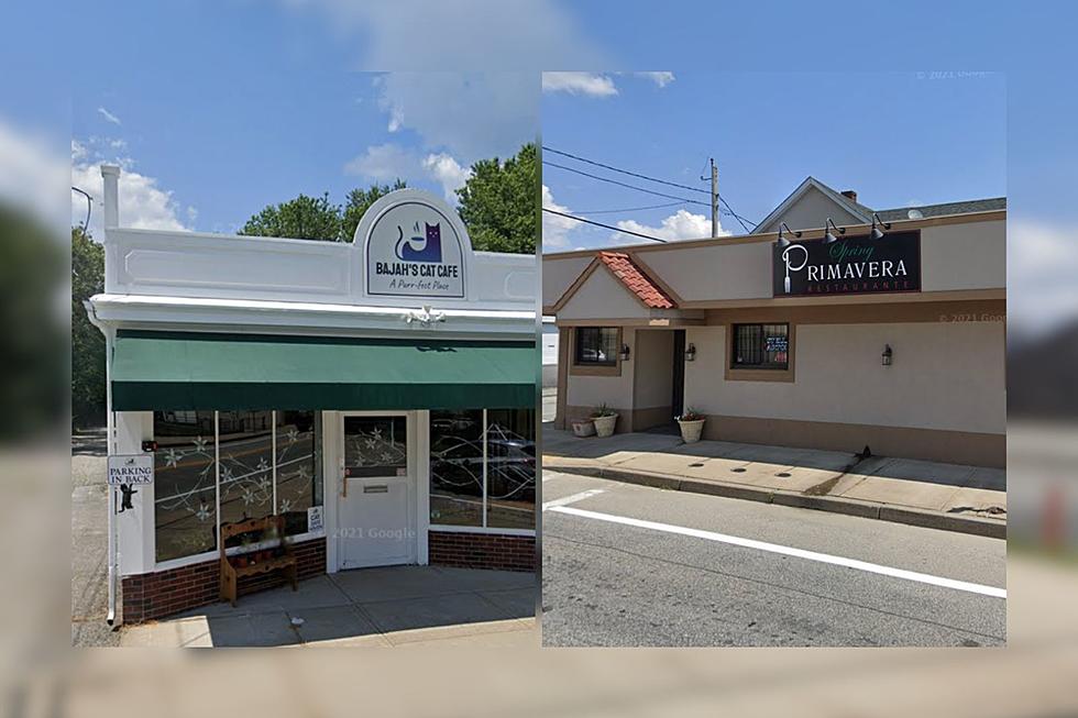 Two Tiverton Businesses Clash on Michael & Maddie Over Parking Lot Mess