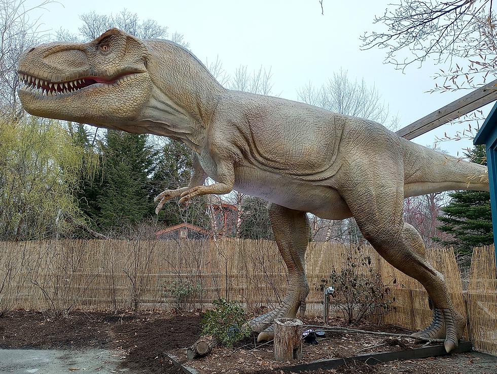 First Look At Providence Zoo&#8217;s Remarkable New Dinosaur Exhibit