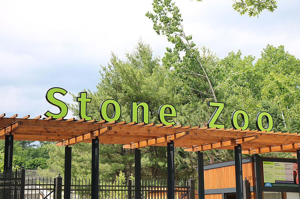 Rare After Hours Adult Only Night At Stone Zoo