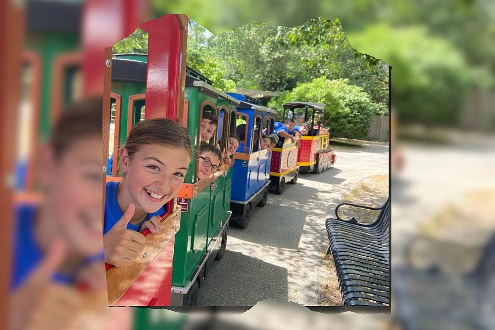 Buttonwood Park Zoo Gears Up to Welcome Brand New Train to New Bedford