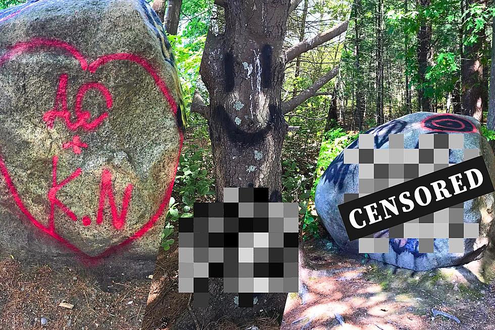 Massasoit State Park in Taunton Has Been Littered With Vulgar and Lewd Graffiti