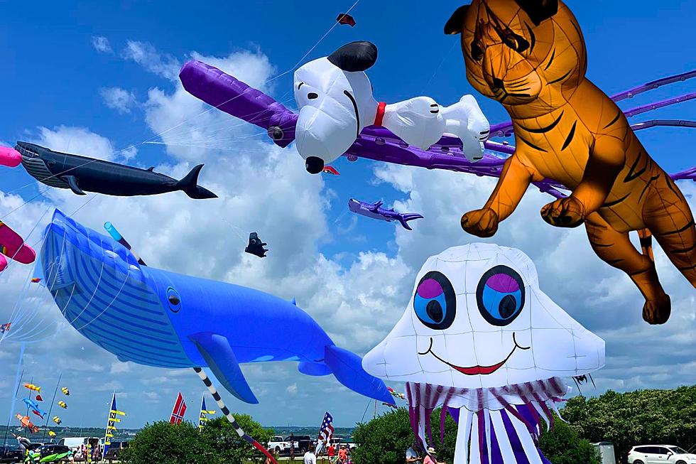 Look Up! The 36th Annual Newport Kite Festival Ready to Brighten the Ocean State Skies