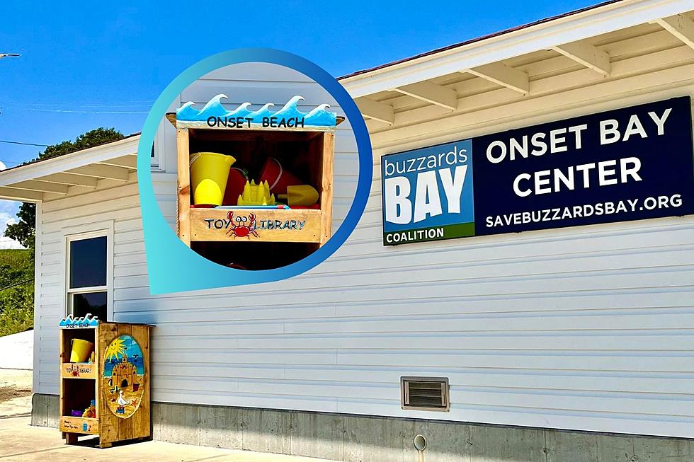 Wareham Artist Creates Free Beach Toy Library for Kids at Onset Beach