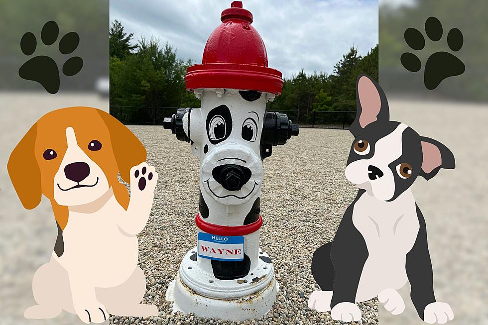 Wareham’s New Dog Park Hydrant Mascot Finally Has a Name and It’s Adorable