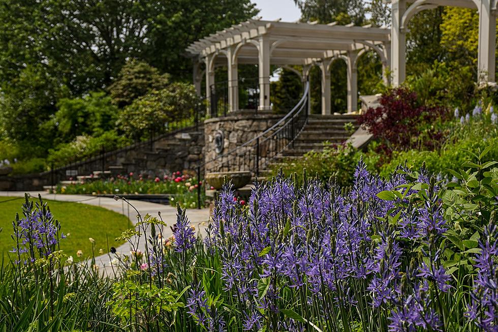 Beautiful Massachusetts Botanical Garden Named Best in U.S.