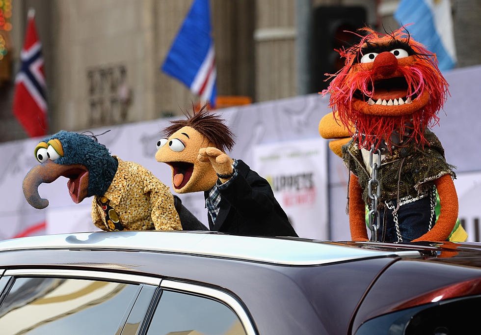 World Famous Muppets Surprised Newport Crowd This Weekend