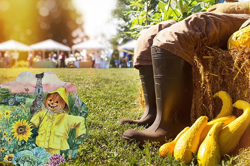 Westport Is Getting a Harvest Festival Again and Everyone’s Invited