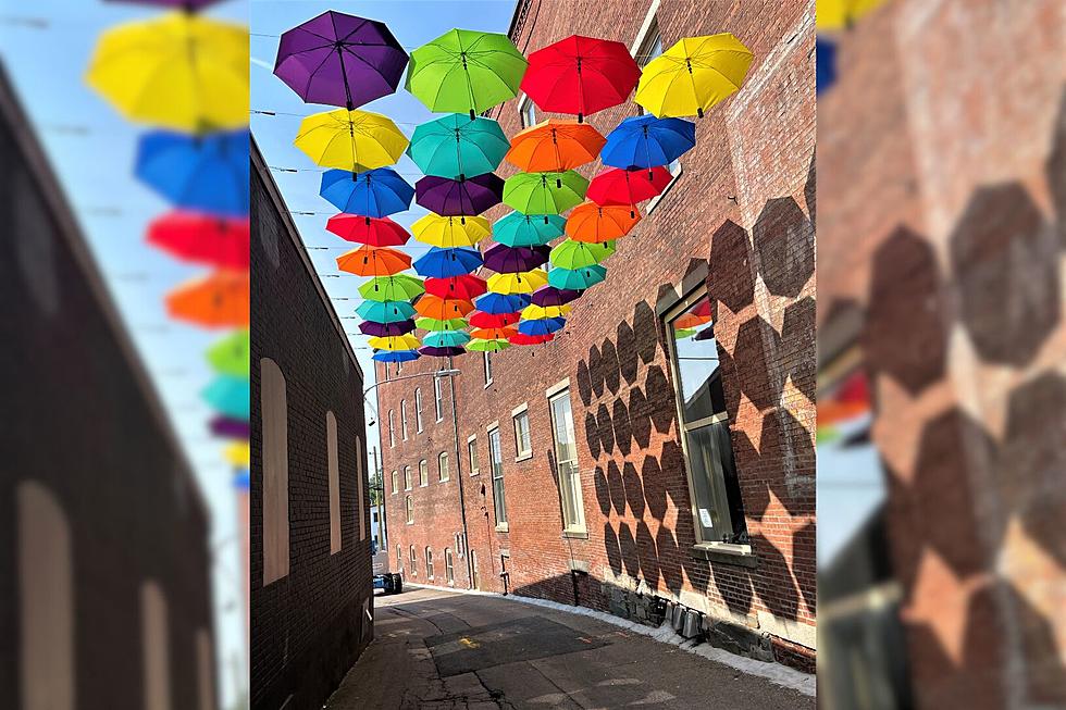 Umbrella Sky Project Pops Up in Taunton Thanks to Local Flower Shop