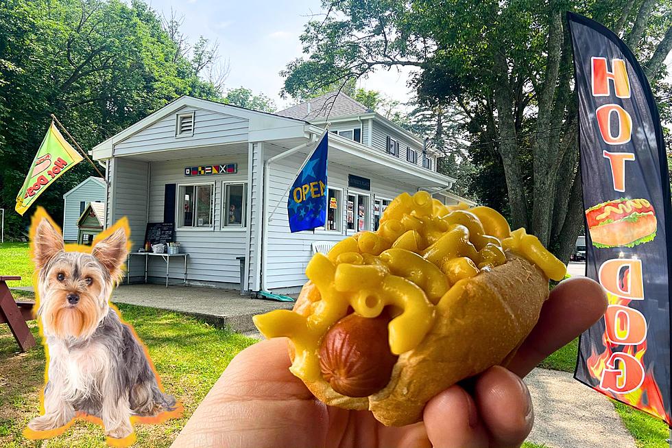 Dartmouth Hot Dog Joint Dukie’s Doggz Back After Two-Year Hiatus