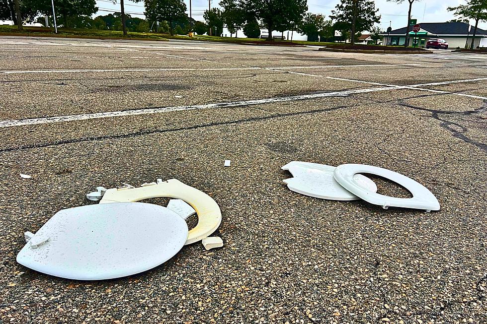 Someone Flushed Their Gross Used Toilet Seats in the Fairhaven Walmart Parking Lot