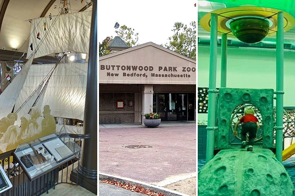 Enjoy Buttonwood Park Zoo and More For Free This Summer