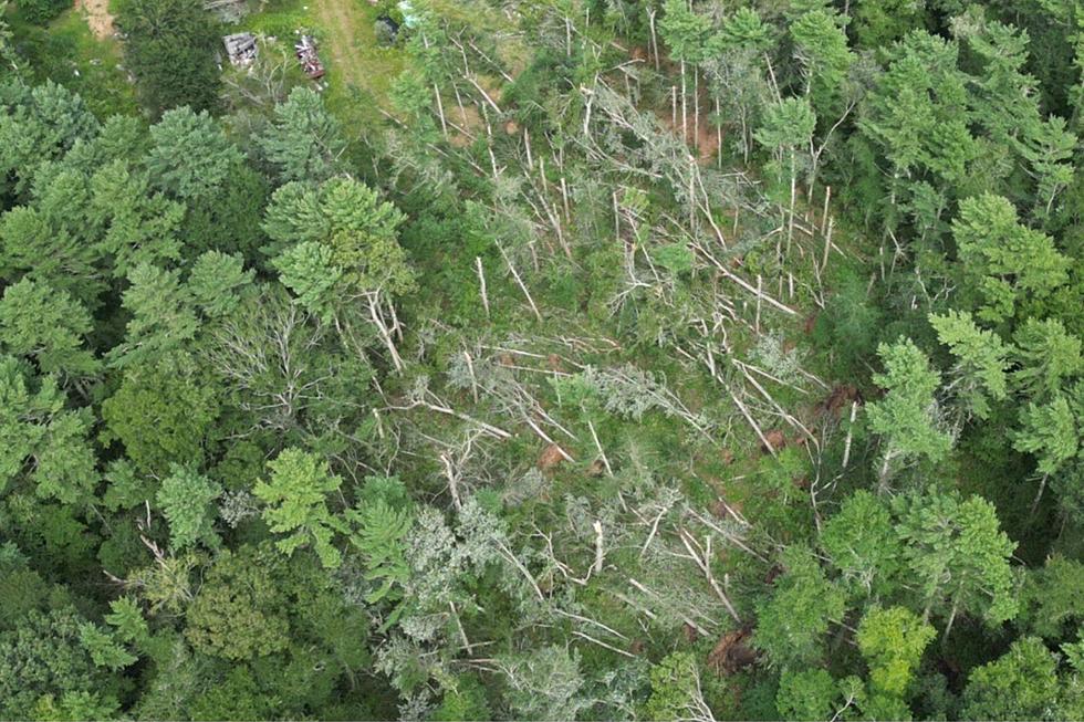 Surreal Shots of Mattapoisett Tornado Damage