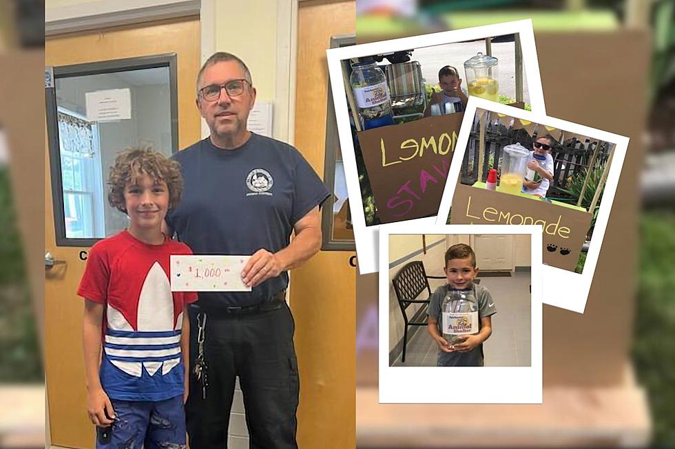 Fairhaven Boy Raises $1,000 for Local Animal Shelter Through Successful Lemonade Stand