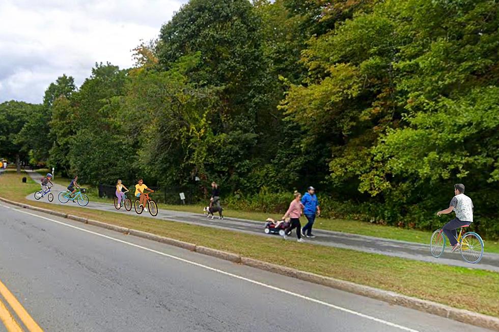 Settling the Great Bike Debate: Are Bicycles Are Allowed Along the Buttonwood Park Walkway in New Bedford?