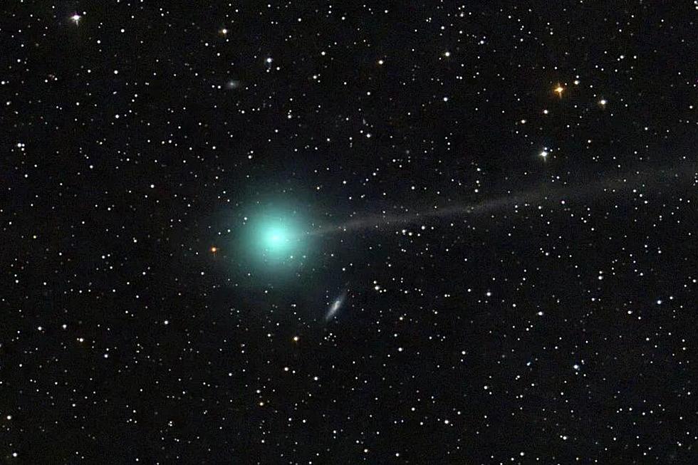 Early SouthCoast Risers Will Enjoy Rare Blue Comet in the Sky This Week