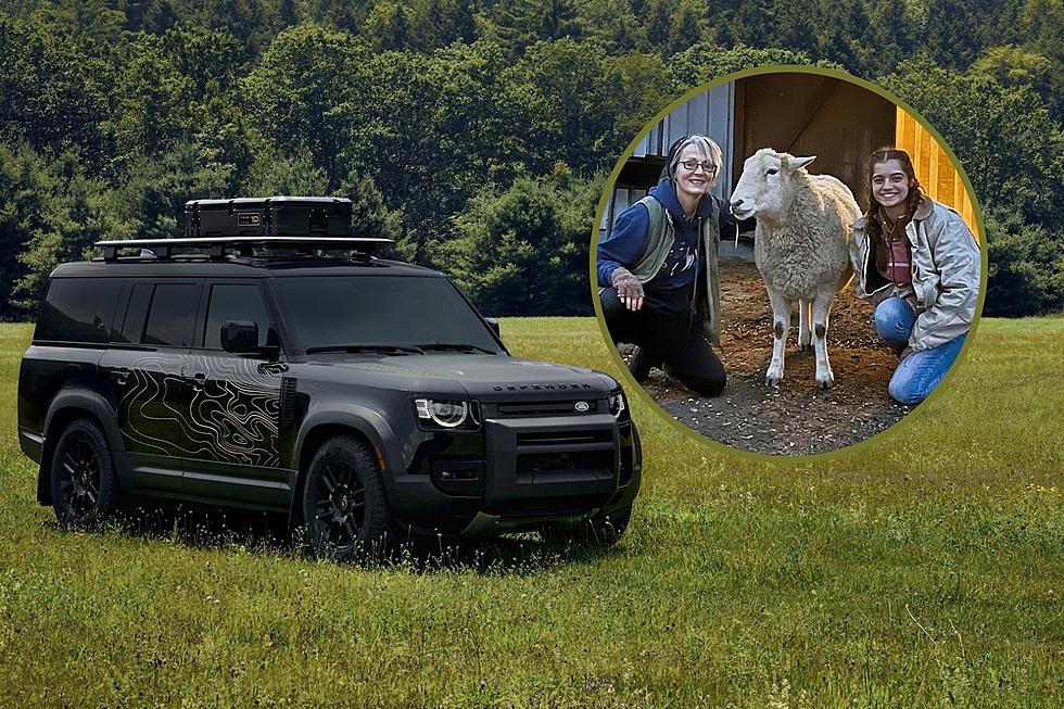 Tiverton Animal Sanctuary in the Running to Win Custom Land Rover