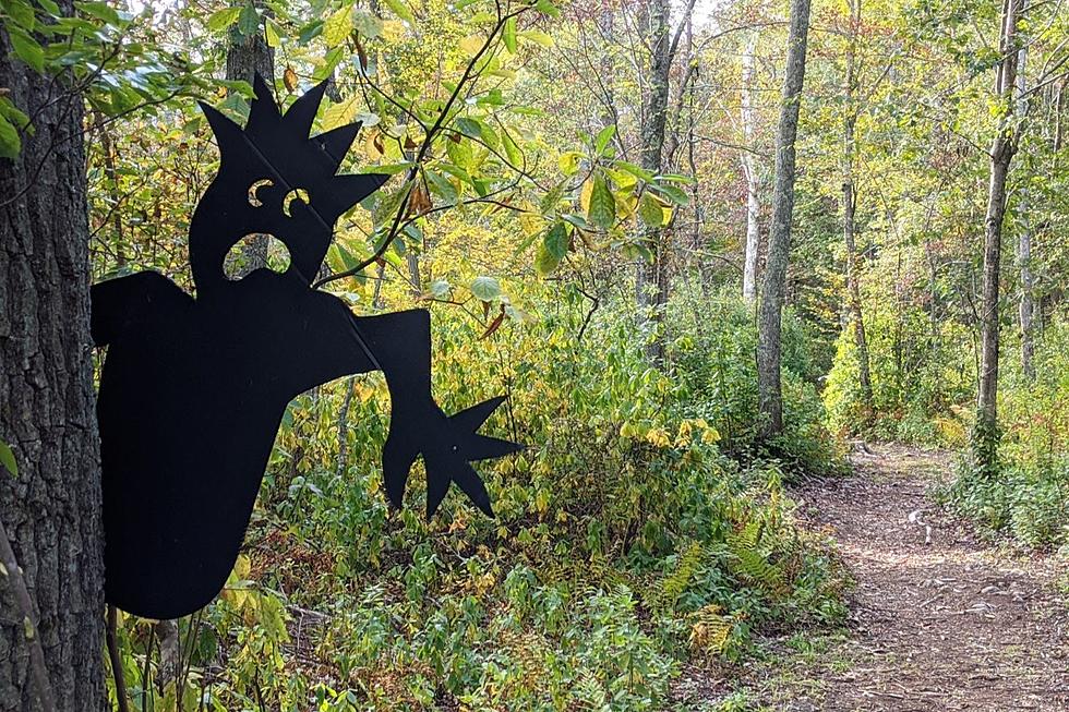 Check Out the Handy House Halloween Trail