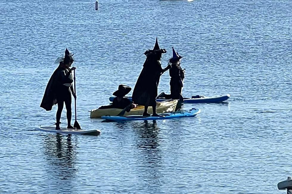 Group of Lively Witches Took Over Marion&#8217;s Harbor for a &#8216;Wicked&#8217; Float
