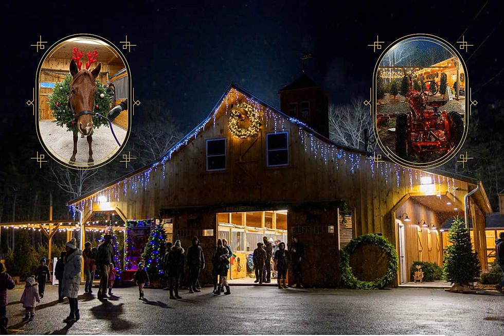 Free Christmas Fun Returns for Another Year at Deep Pond Farm in Taunton