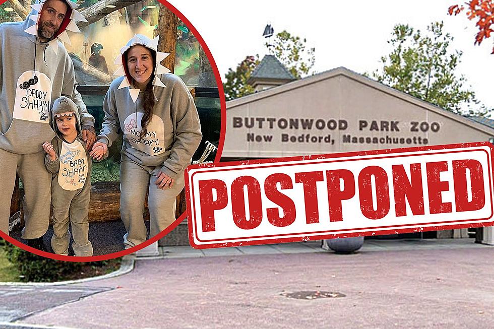 Popular Boo at the Zoo Event Cancelled For This Saturday