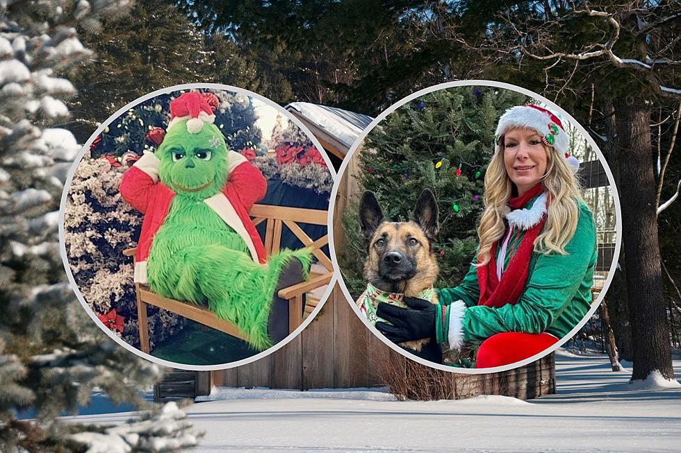 Beloved Holiday Stroll Returns To Animal Sanctuary In Fairhaven