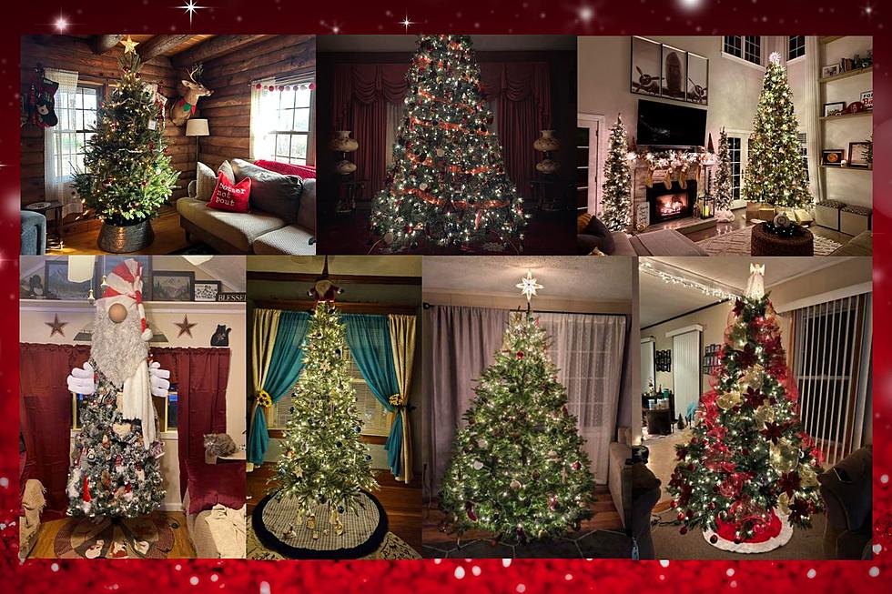 These 75 SouthCoast Christmas Trees Do Not Disappoint [PHOTOS]