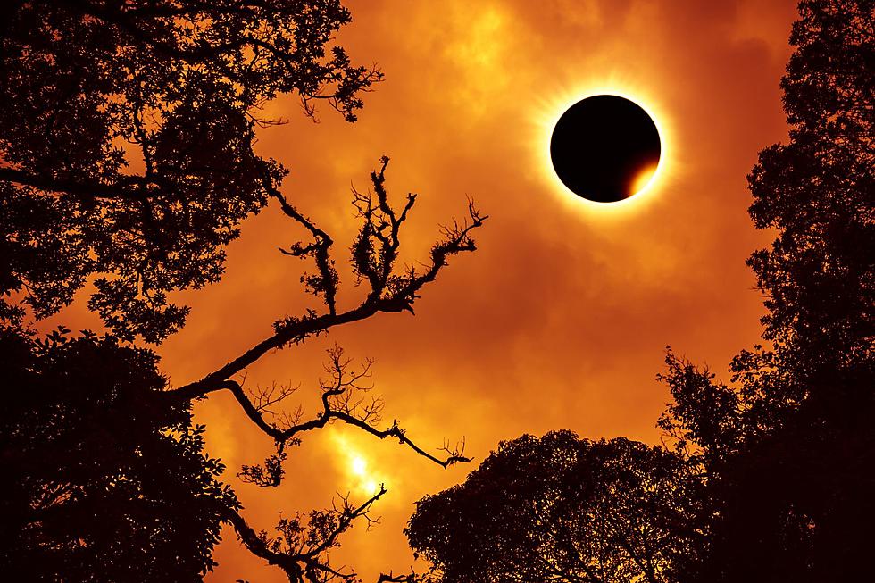 Best New England Spots to View The April 2024 Solar Eclipse