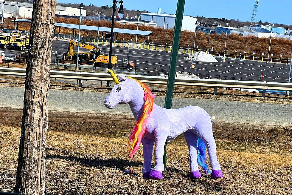 An Oversized Stuffed Unicorn Was Left at a Construction Site in New Bedford