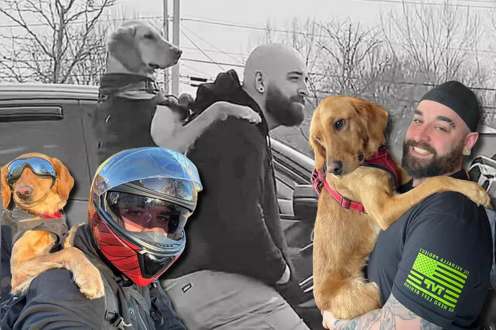 Fall River Man and His Adorable Motorcycle-Riding Dog Spread Joy on the Road