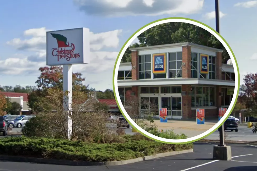 Christmas Tree Shops in Falmouth to Become Aldi Supermarket