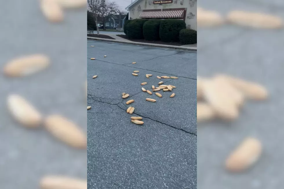 Fairhaven Runner’s Bizarre Parking Lot Bread Find Is a Recipe for Confusion