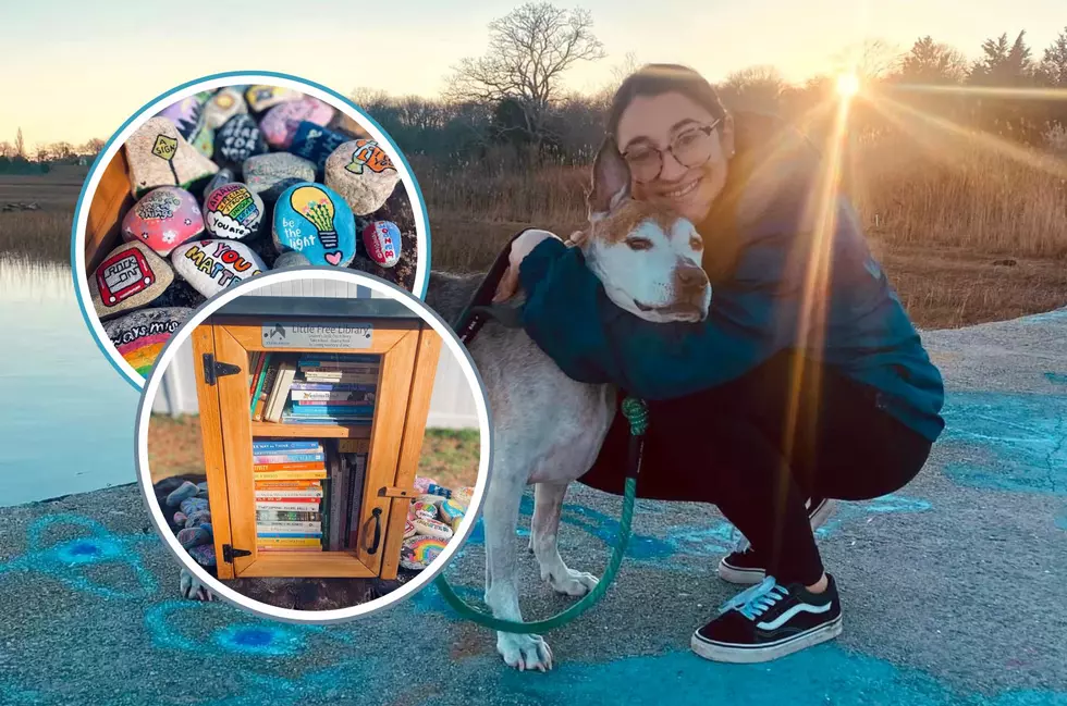 Fairhaven Woman Sets Up Little Library To Honor Late Dog