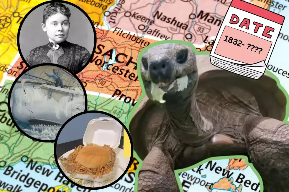 Giant Tortoise Has Outlived Major Massachusetts History